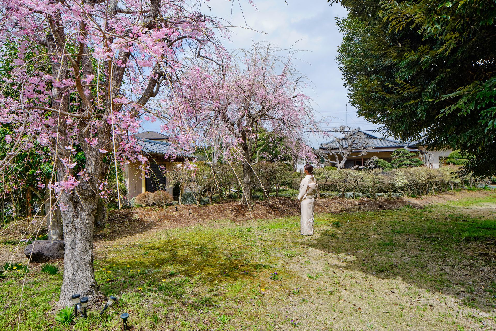 Komorebi house – view 4
