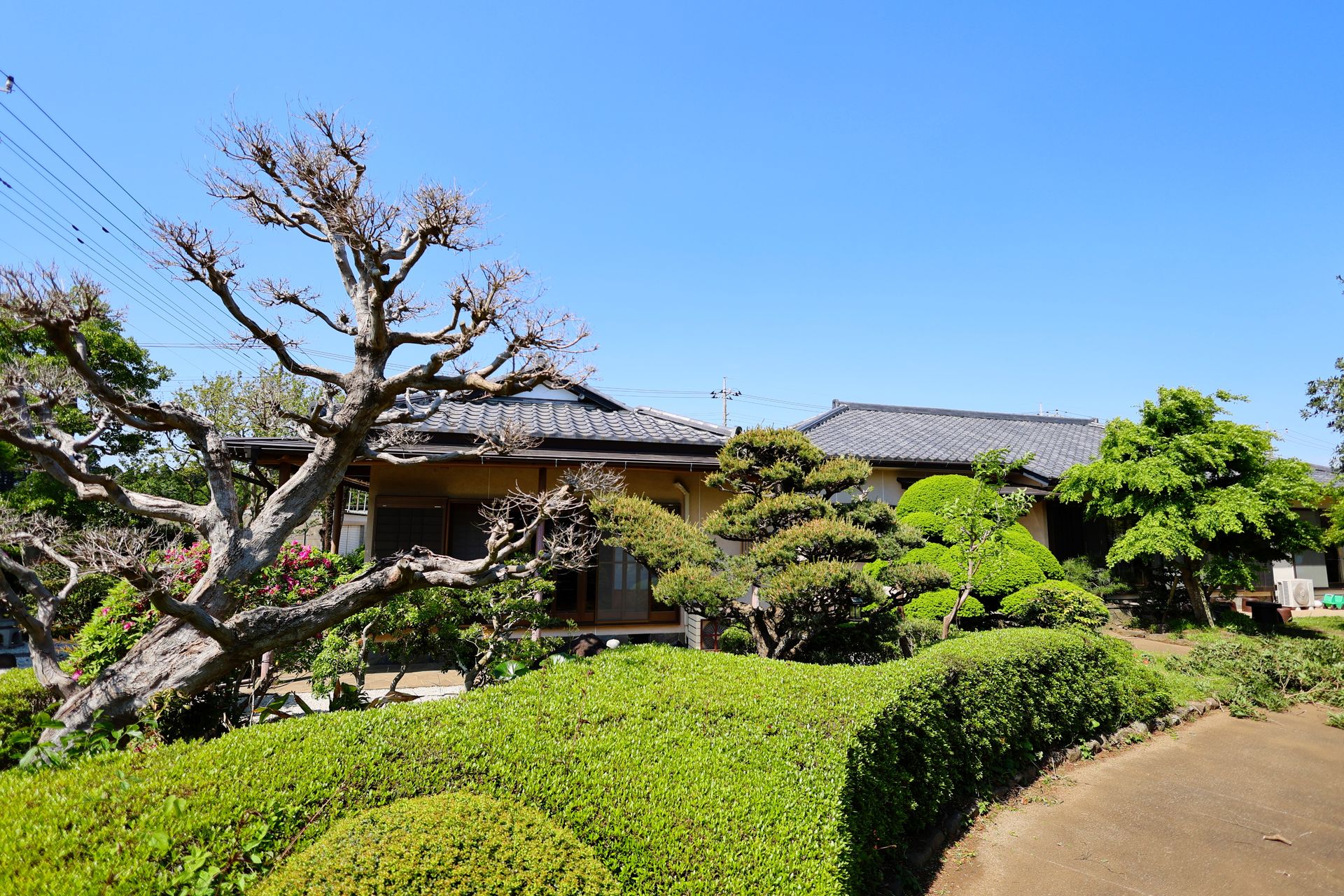 Komorebi house – view 5
